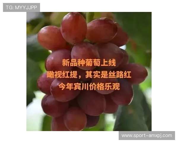 新葡葡萄京娱乐官网优质客户服务保障玩家权益体验