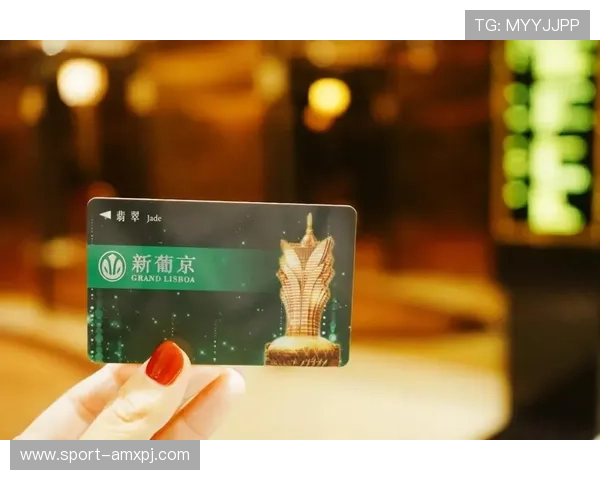 澳门新葡京娱乐官网入口最新官方地址，确保玩家安全畅玩无忧的最佳选择