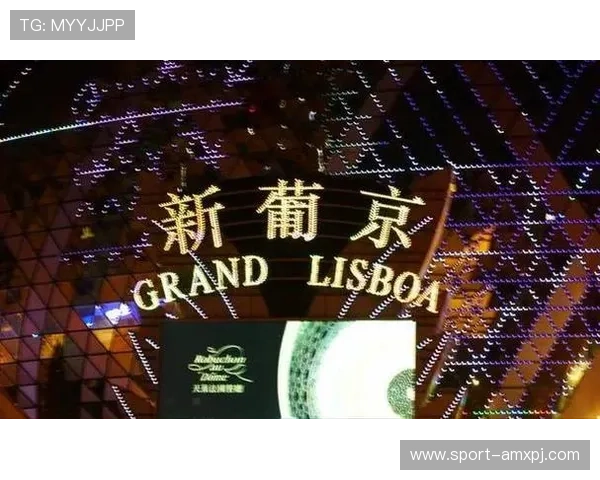 澳门新葡京旗舰厅官方地址安全指南，确保每一次登录都能享受安全稳定的游戏体验