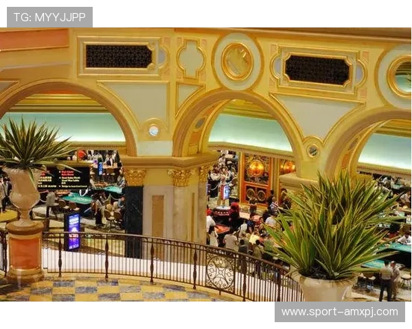 新葡京娱乐网址提供丰富多样的游戏选择，满足不同玩家的娱乐需求与挑战欲望