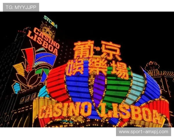 稳定安全的葡京娱乐官网入口，保障玩家的每一次游戏体验