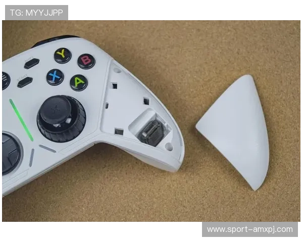 新葡京手机官方地址最新入口全面更新，确保玩家畅享安全稳定的游戏体验